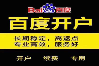 成功案例揭秘：百度竞价代运营如何助力企业腾飞